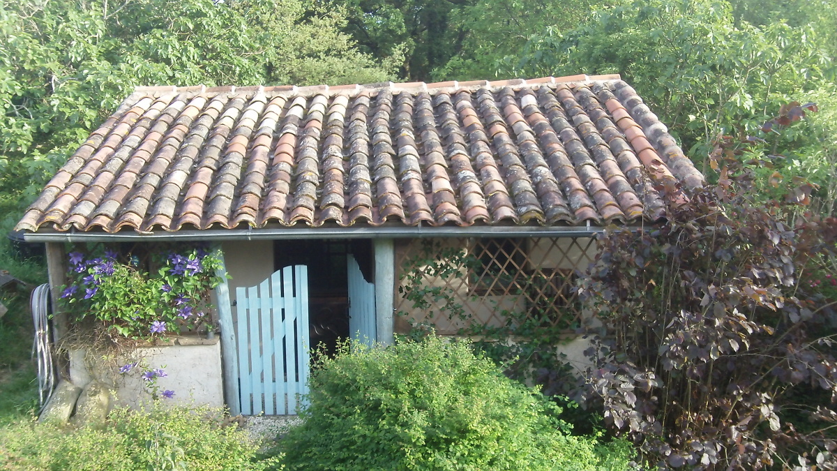 Photograph